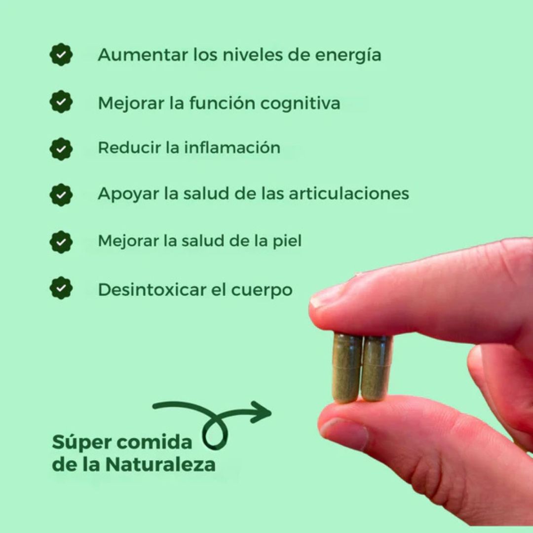 Cápsulas de Moringa 27Days - Reduce naturalmente el cortisol.