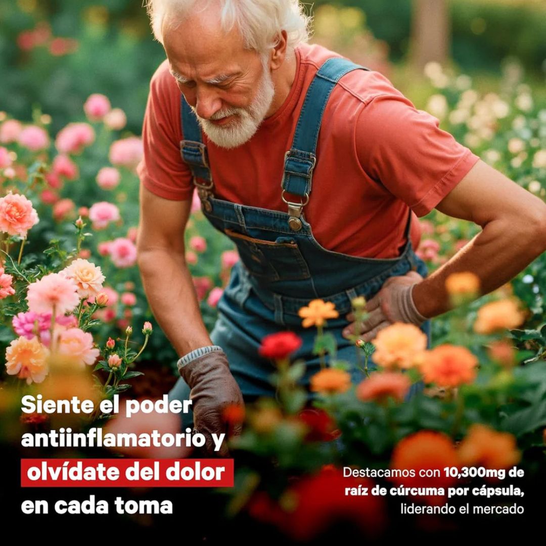 Cápsulas de Cúrcuma + Probióticos 27Days - Desinflama y equilibra.