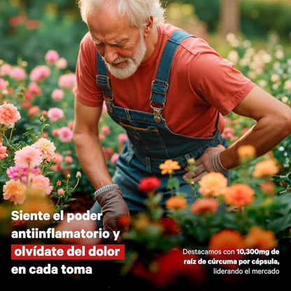 Cápsulas de Cúrcuma + Probióticos 27Days - Desinflama y equilibra.